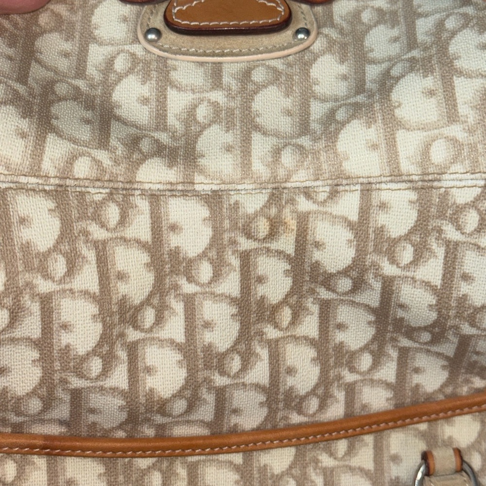 CHRISTIAN DIOR Monogram Romantique Trotter Bag - Picture 16 of 17